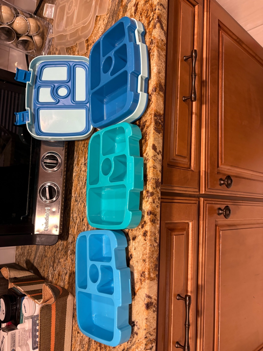 Blue Teal Plastic  bento boxes